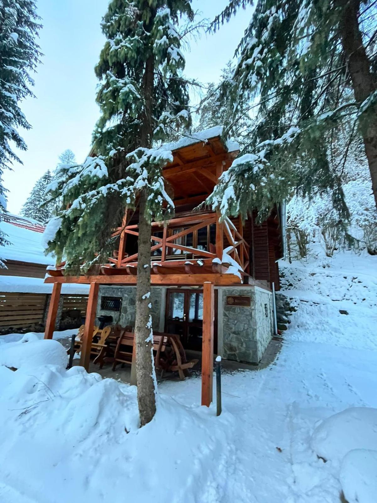 Tatrystay Chalet Kristina 迪马诺卡多林纳 外观 照片